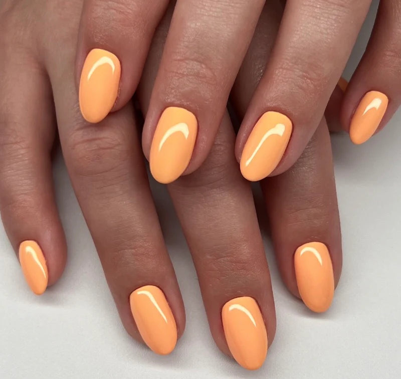 Dc Duo - Mandarin Glow #2538
